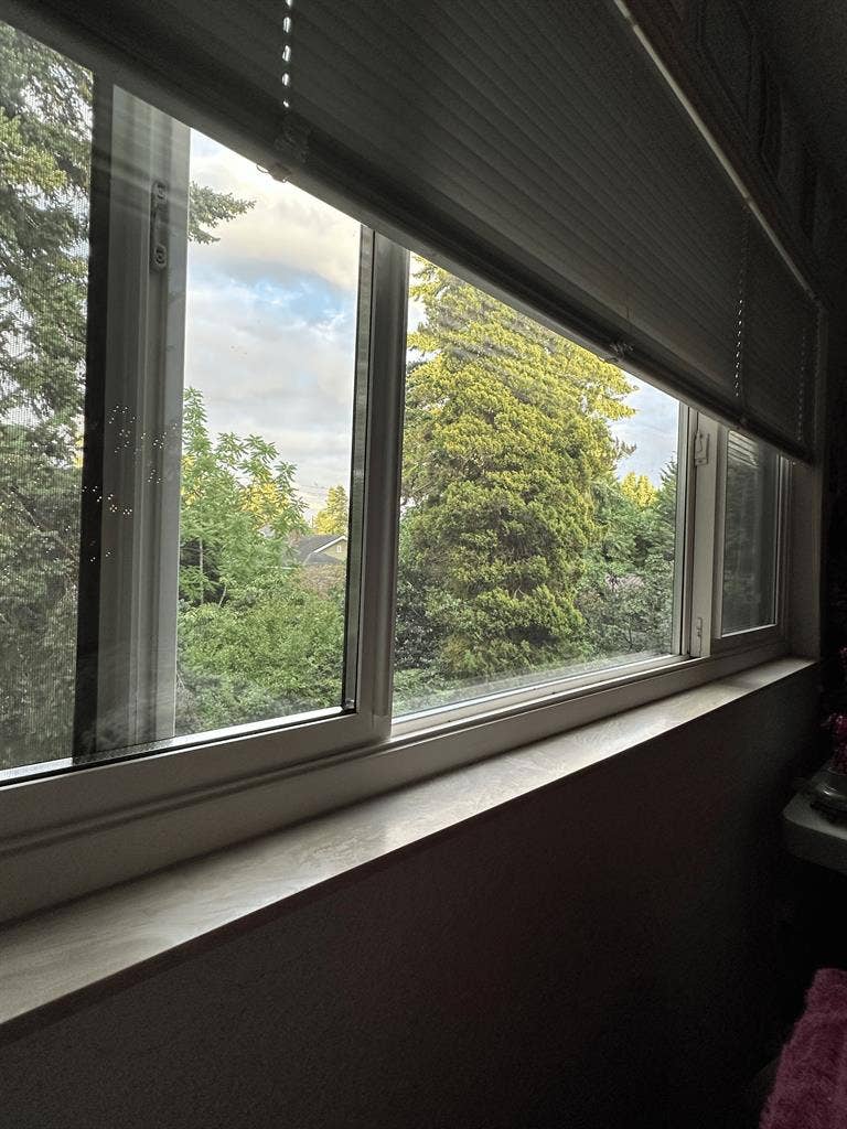 Looking for Roommate in Greenwood!