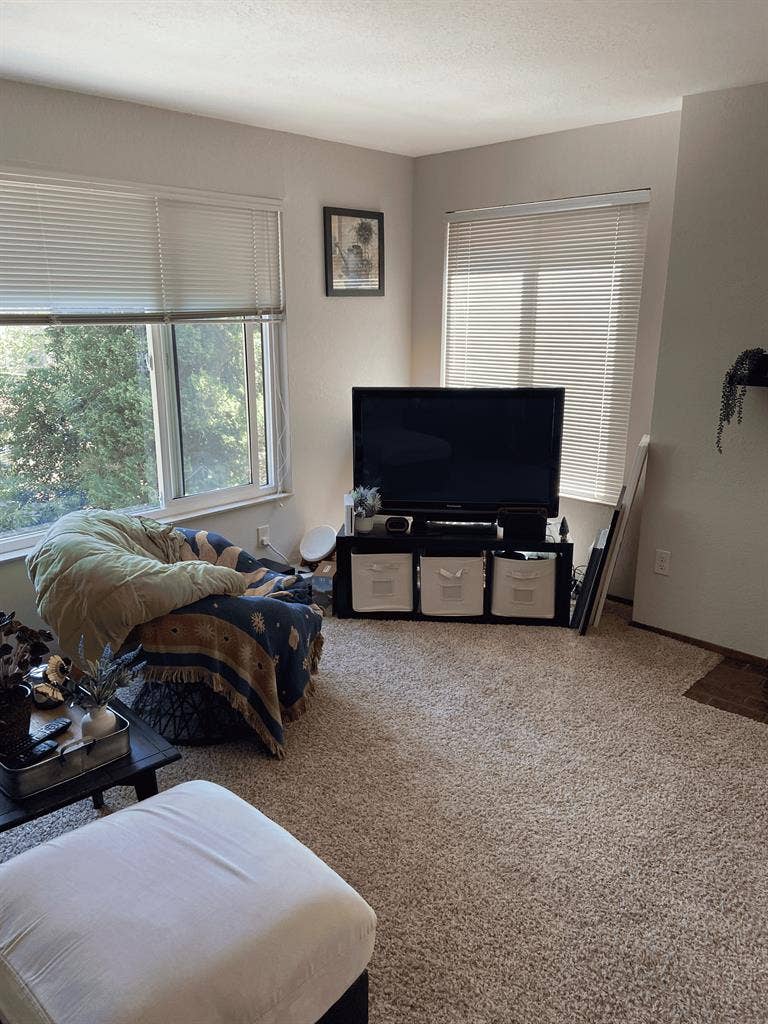 Looking for Roommate in Greenwood!