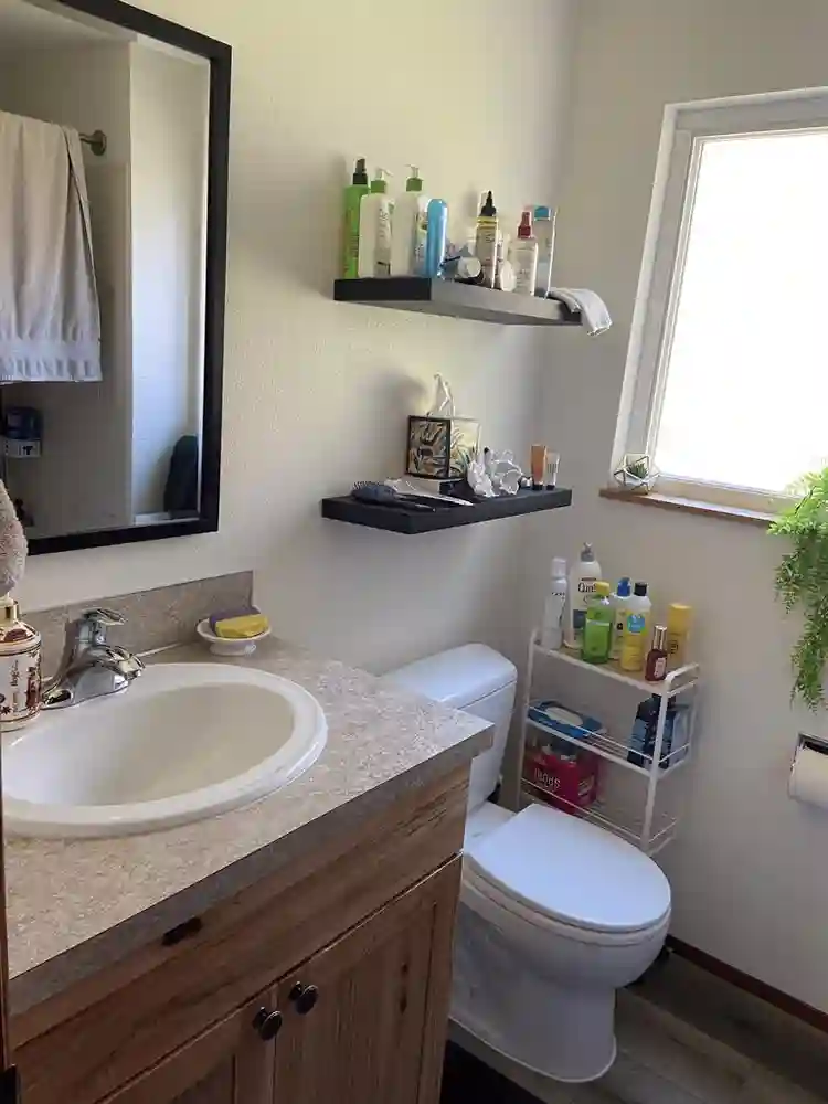 Looking for Roommate in Greenwood!