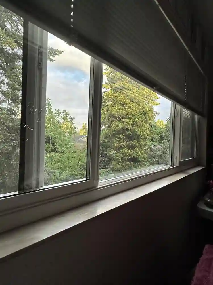 Looking for Roommate in Greenwood!