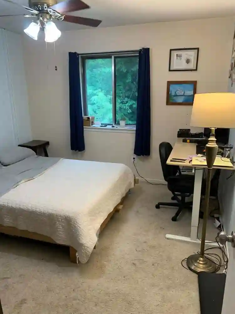 Looking for two roommates