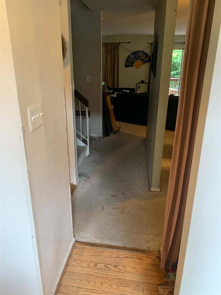 Looking for two roommates