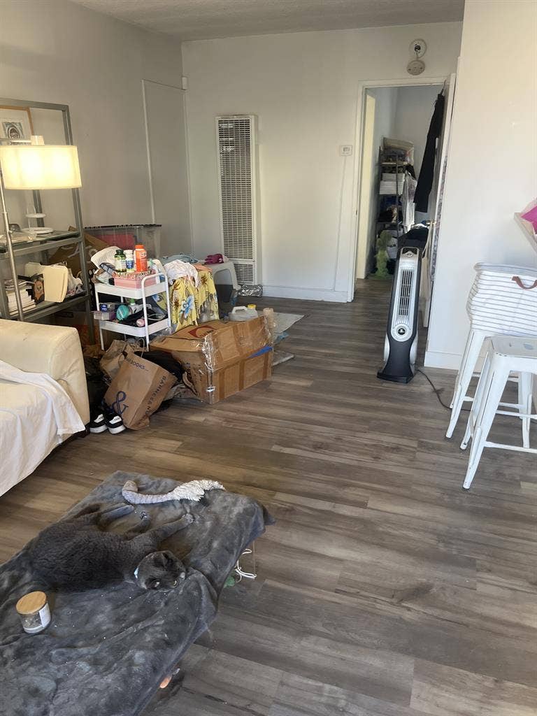 Roomate needed beachside apartment