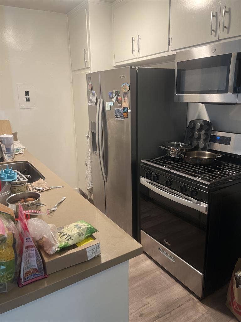Roomate needed beachside apartment
