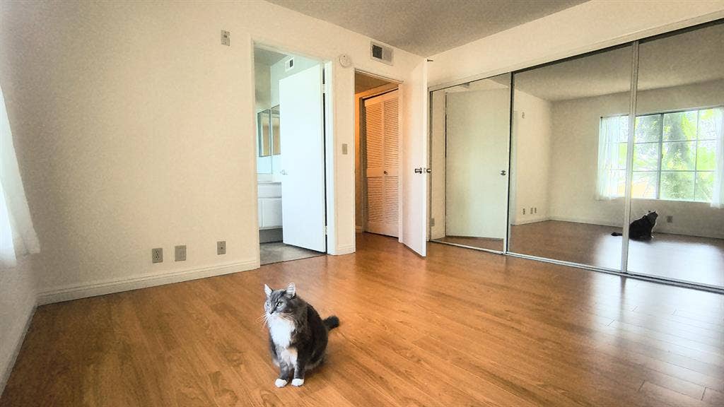 Room available ASAP - LGBT friendly