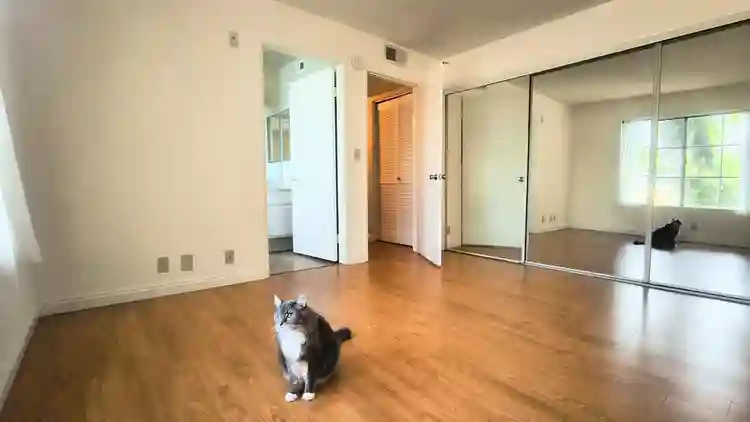 Room available ASAP - LGBT friendly
