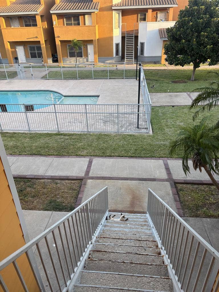 Looking for roommate McAllen Texas