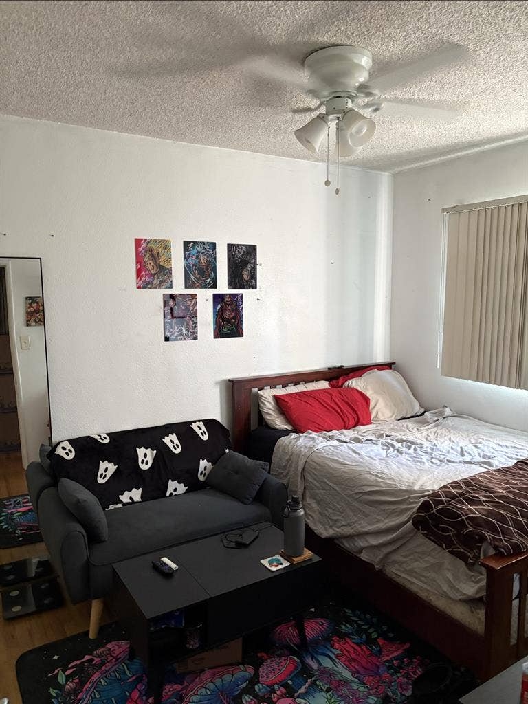 Room available Aug 1st
