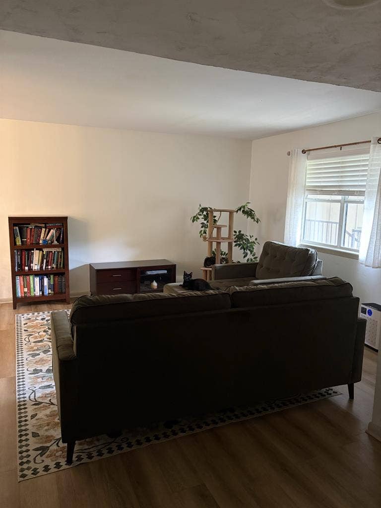 Nice quiet room for rent
