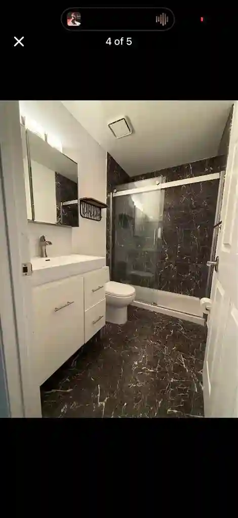 Female seeking female roommate.
