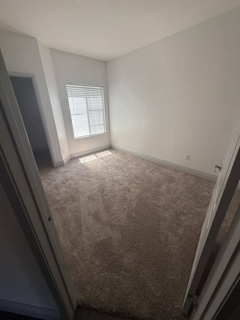 Room for rent in apartment