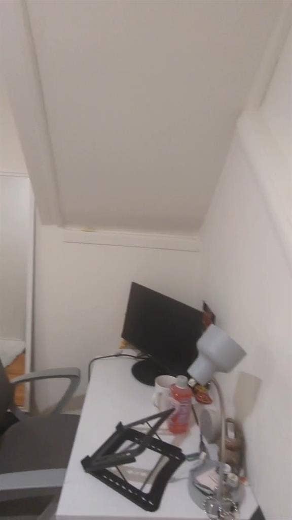 Looking for a Female Roommate