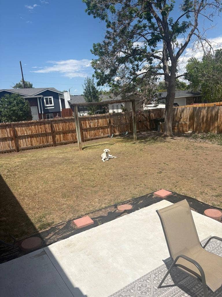 Private 1BR/1BA Basement Suite +Pet