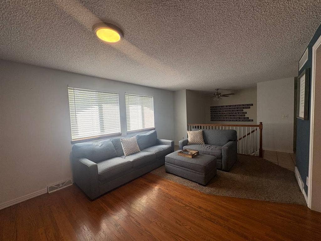 Private 1BR/1BA Basement Suite +Pet