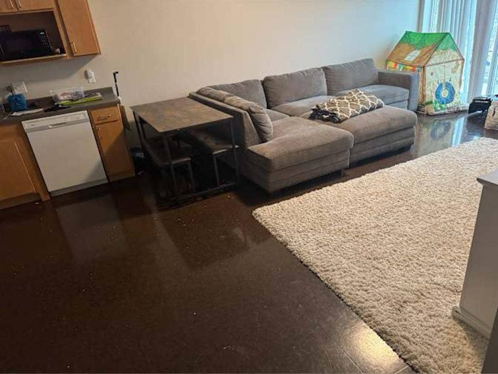 Live-in Babysitter - Free Rent