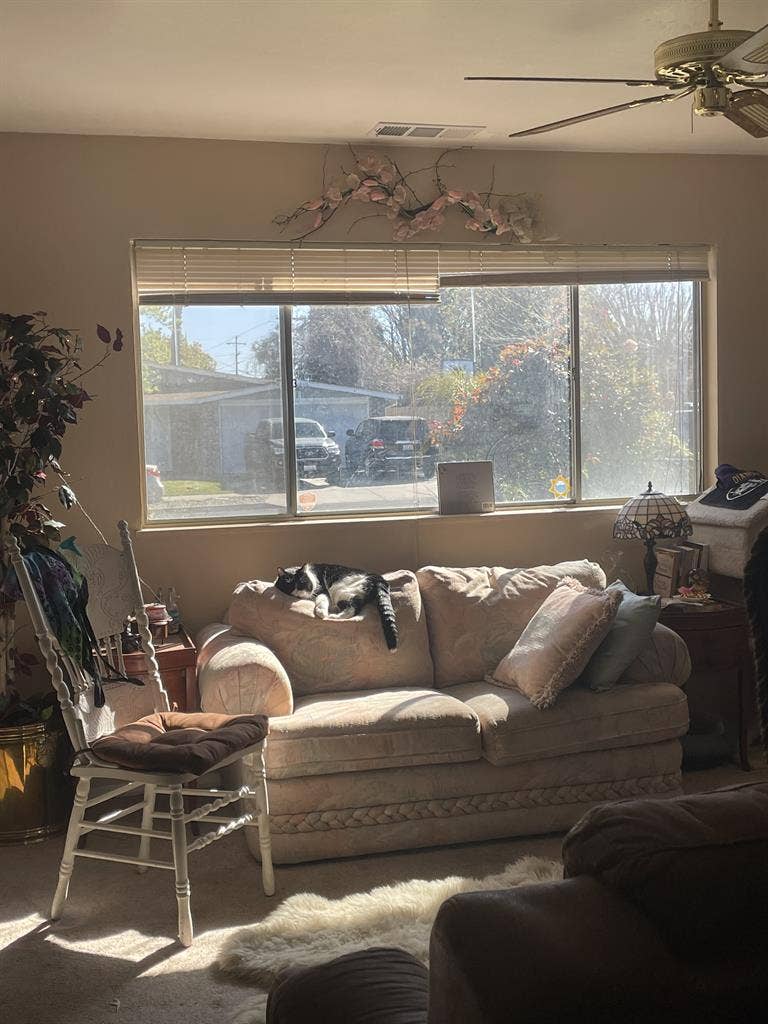 Brentwood Room For Rent