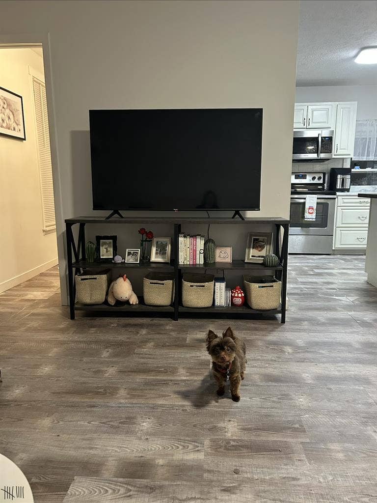 New Listing