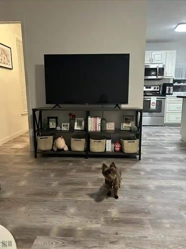 New Listing