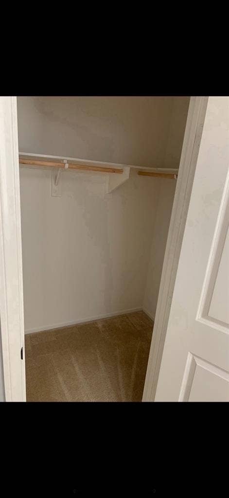 Looking for female roomie