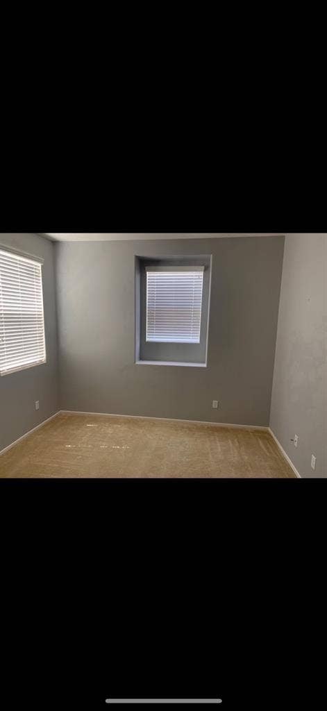 Looking for female roomie