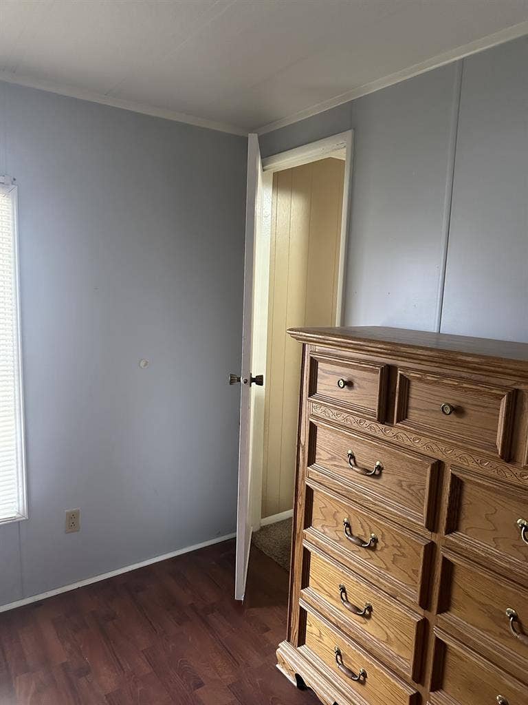Looking for female roommatees