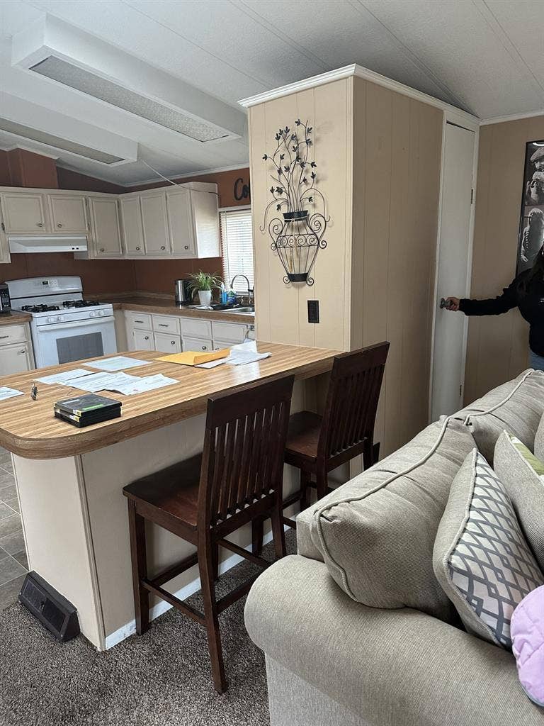 Looking for female roommatees