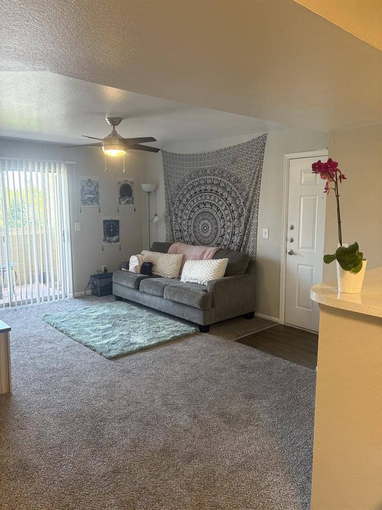 Private room and shared bathroom