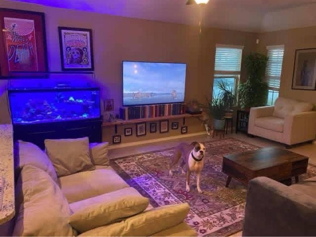 New Listing