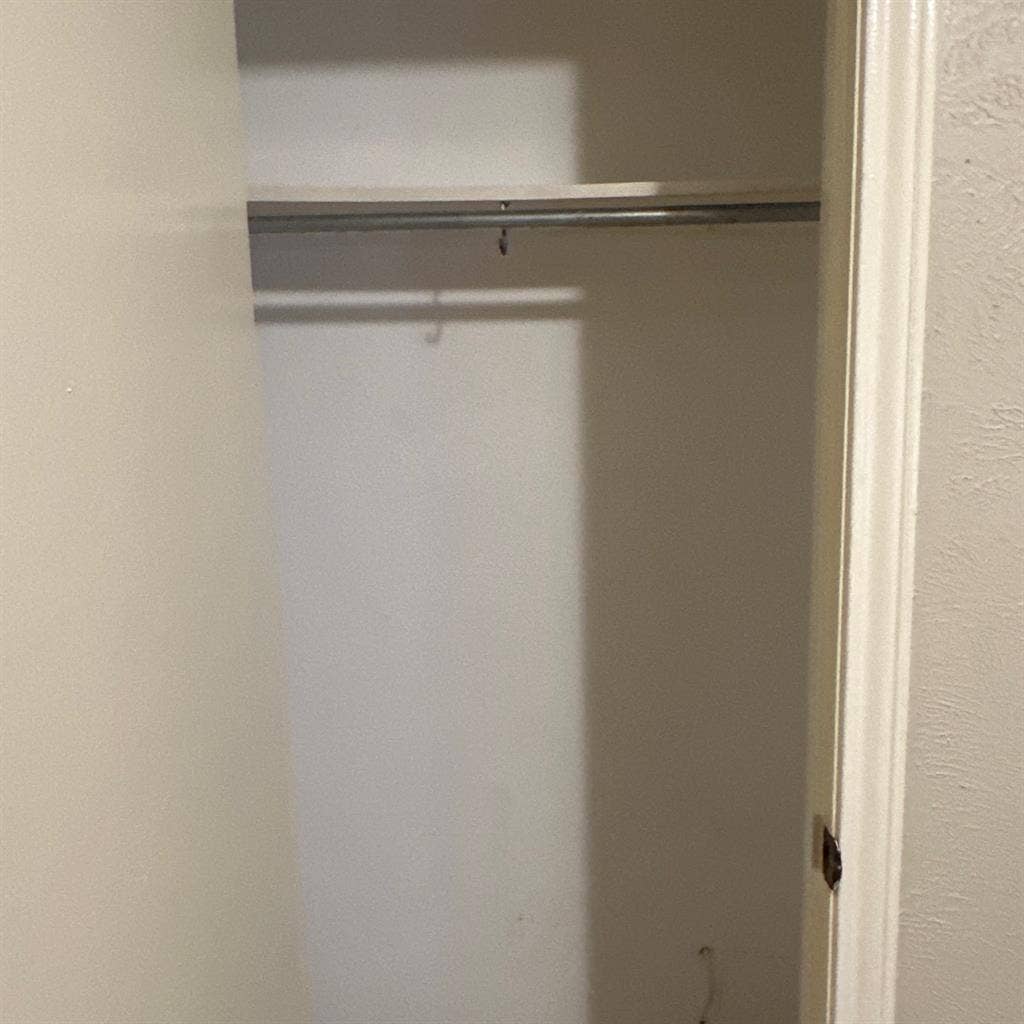 Bachelor house