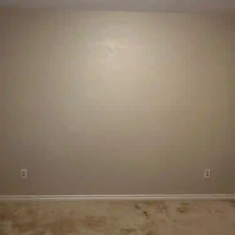 Bachelor house