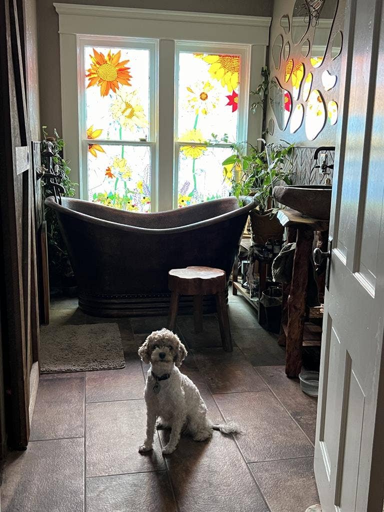 1895 Victorian Friendly, Inclusive
