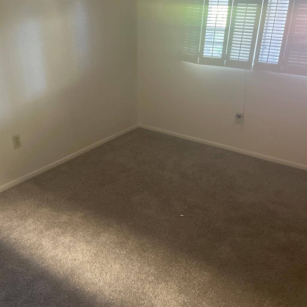 Female roommate wanted