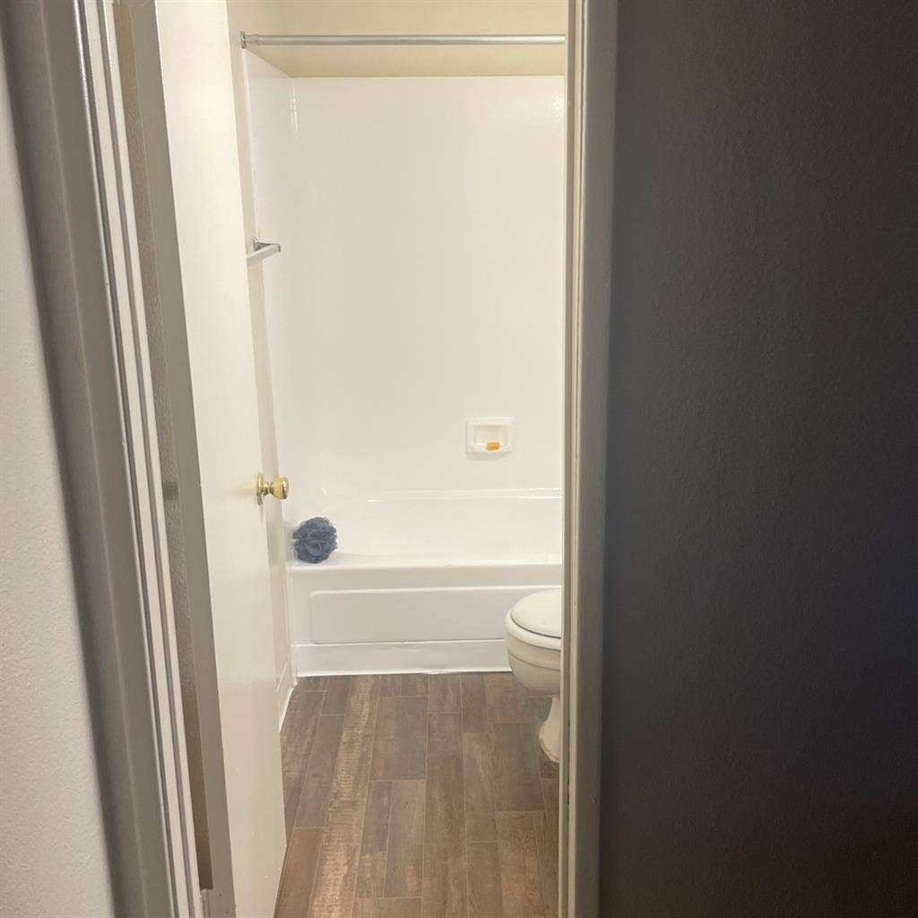 Female roommate wanted ($500 down)
