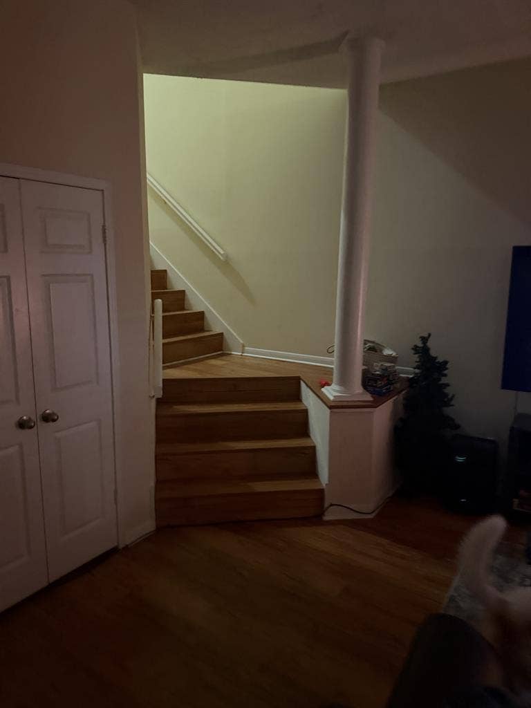 Townhouse with 2 male roommates