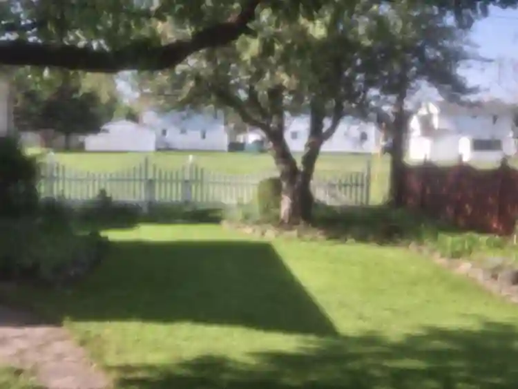 Quiet, safe neighborhood.