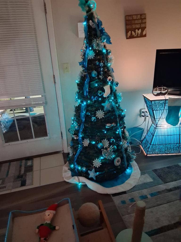Private bed and bath in large 2 bed