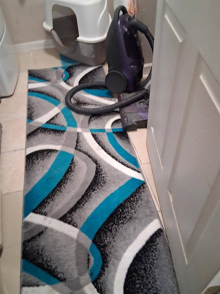 Private bed and bath in large 2 bed