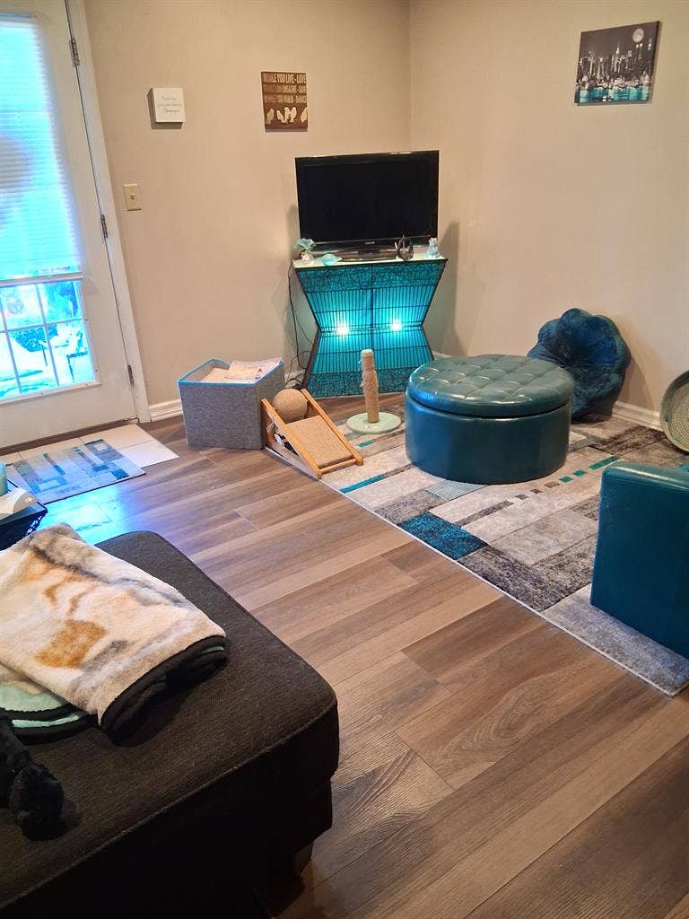 Private bed and bath in large 2 bed