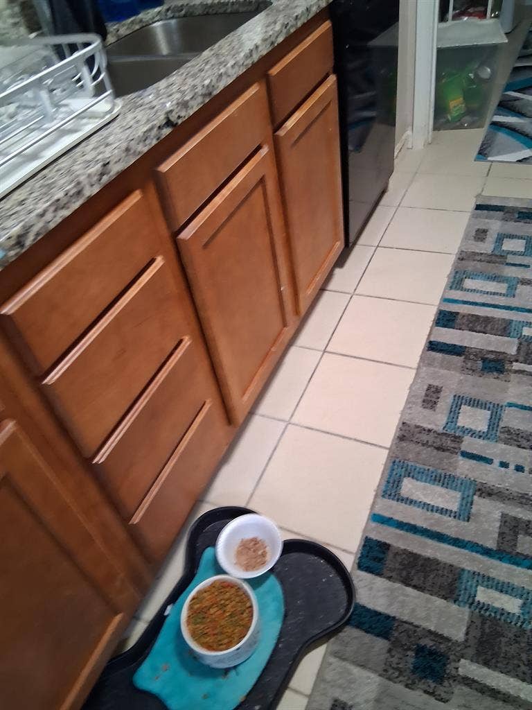 Private bed and bath in large 2 bed
