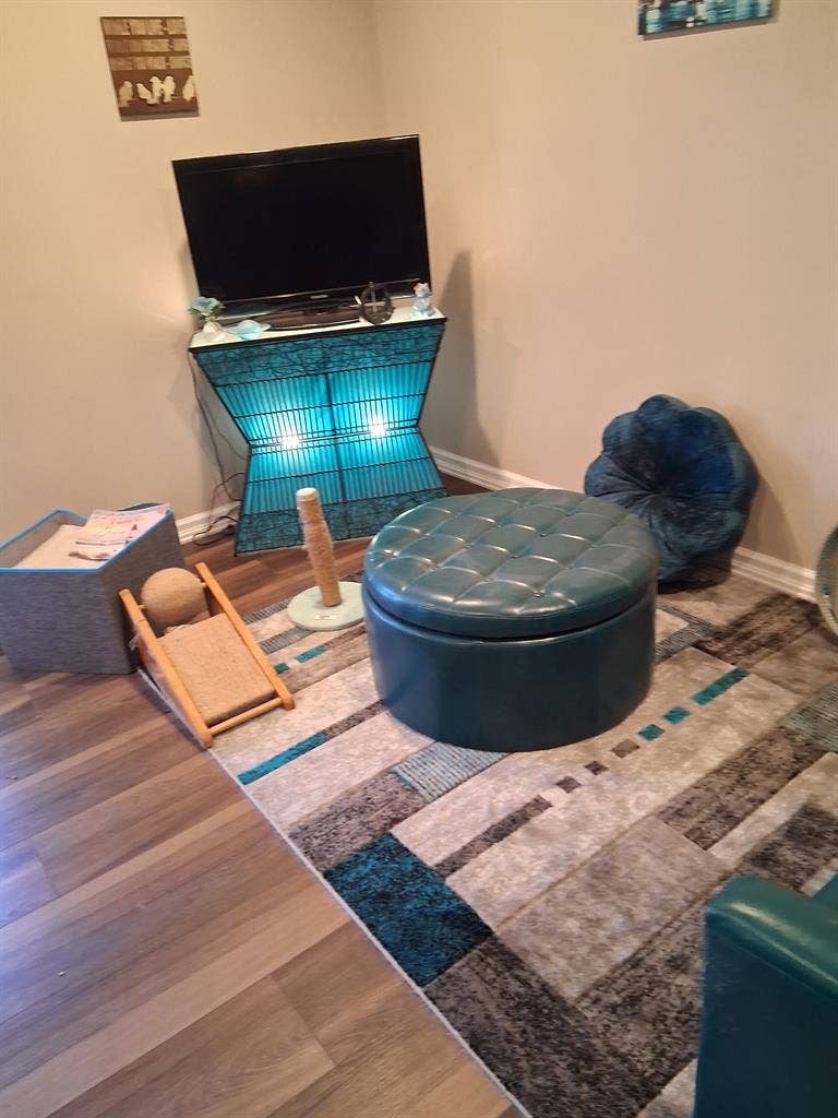 Private bed and bath in large 2 bed