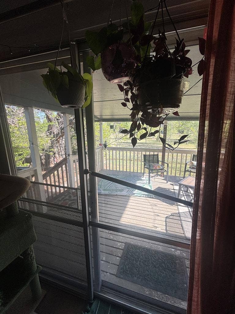 Room Available