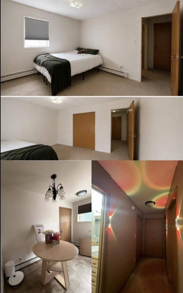 Looking for a Roommate