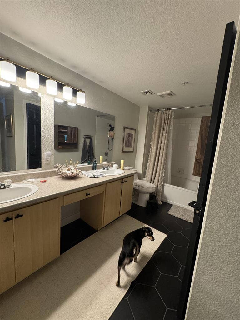 Spacious and well kept condo!