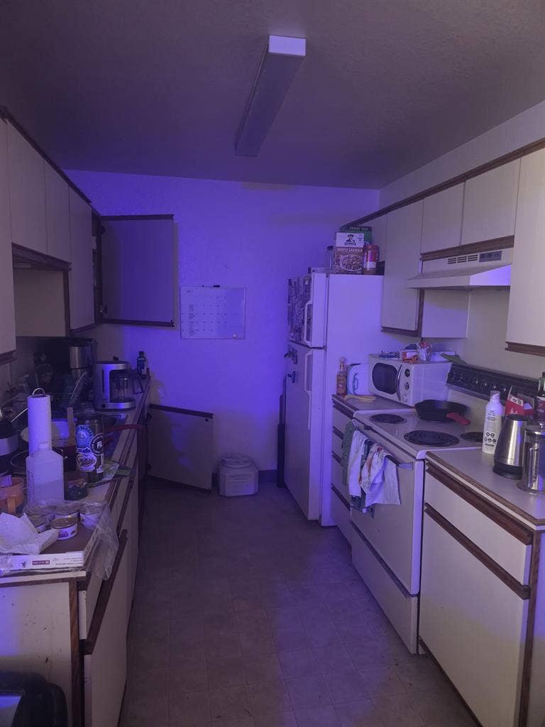 Roomate needed