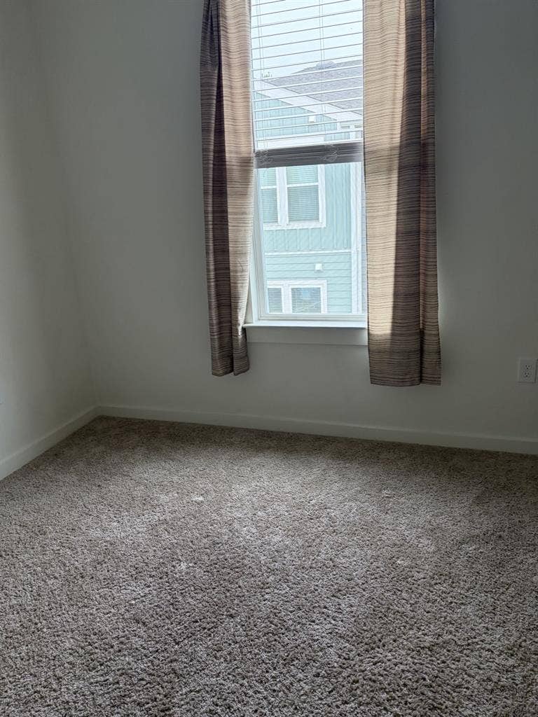 Looking for a roommate