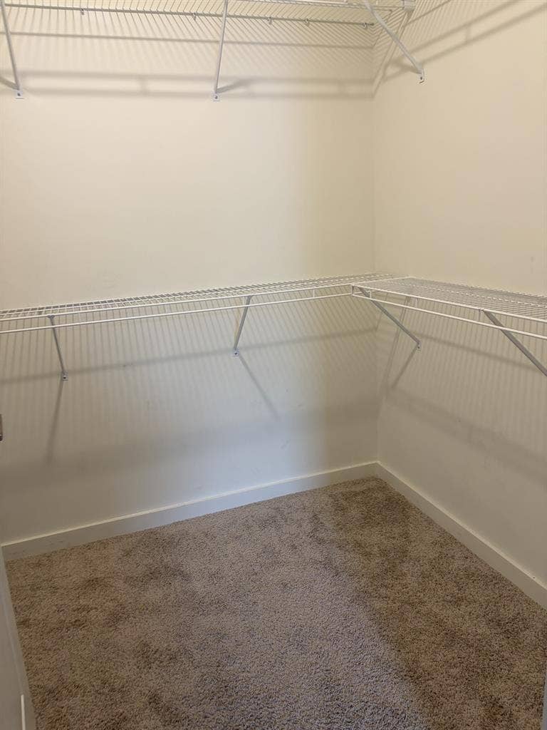 Looking for a roommate