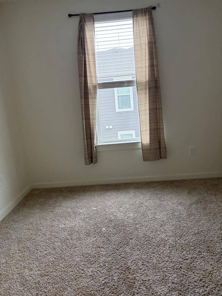 Looking for a roommate