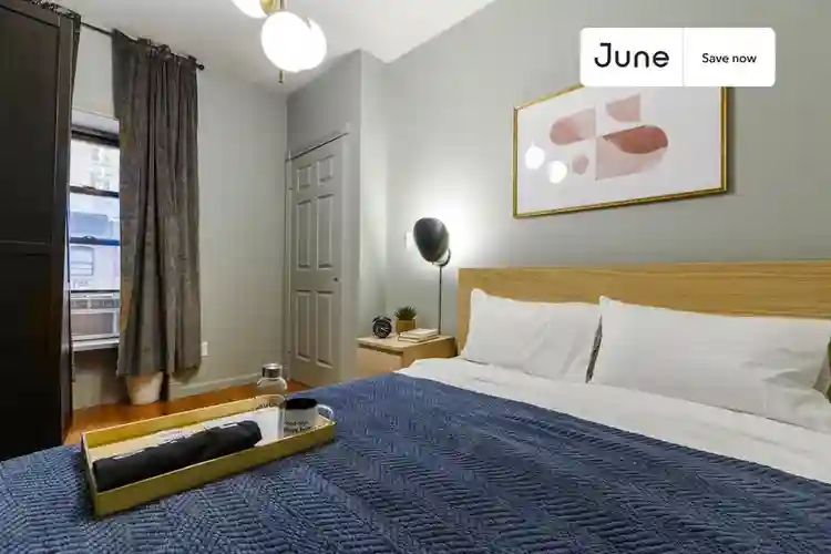 1 BR in New York City