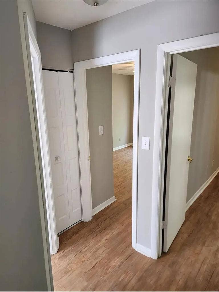 3 BR in Forest Park
