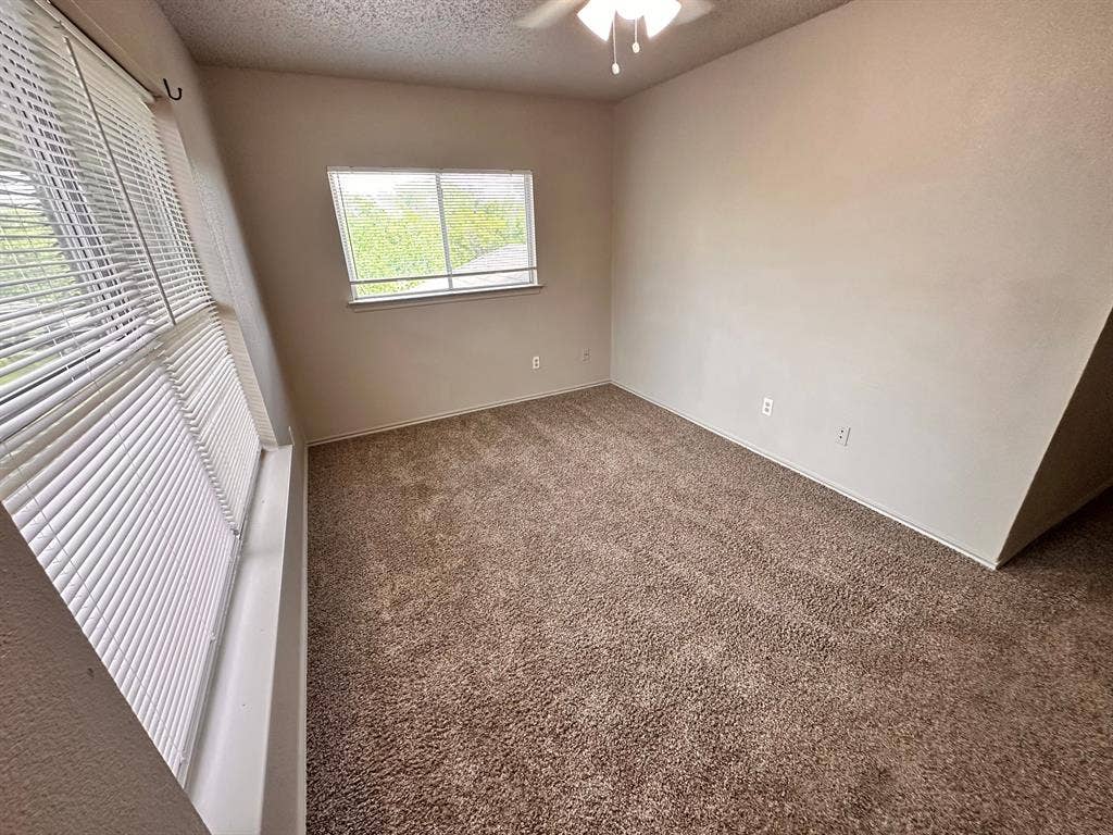 5 BR in Austin